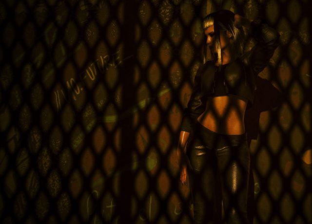 photomode_28012023_200020-01